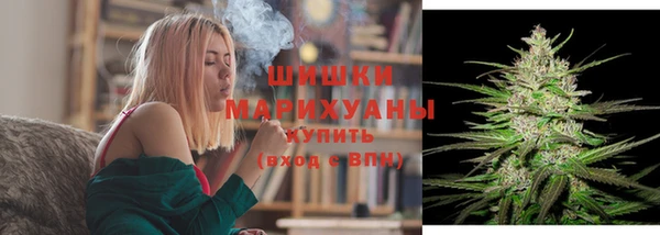 молекула духа Инсар