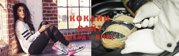 молекула духа Инсар