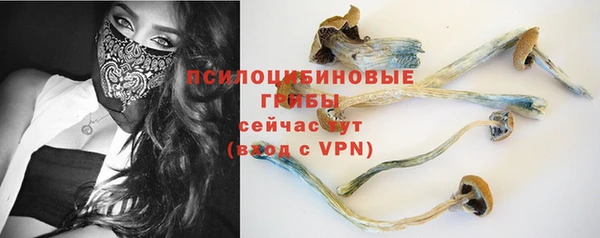 молекула духа Инсар