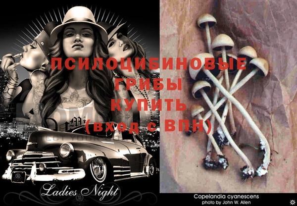 молекула духа Инсар
