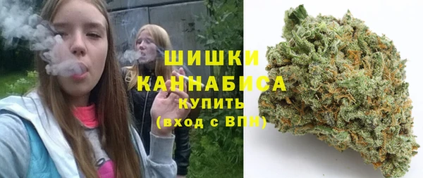 молекула духа Инсар
