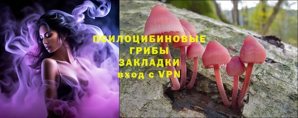 молекула духа Инсар