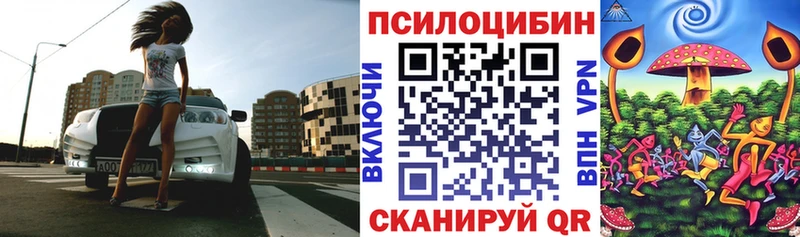 Купить где  Горно-Алтайск  Галлюциногенные грибы мицелий 